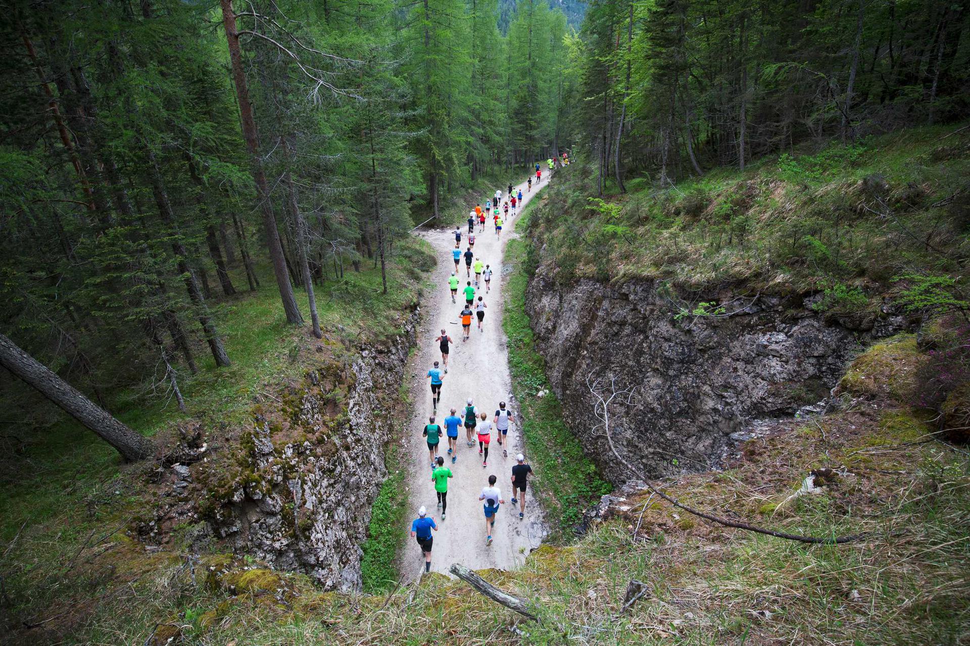 Cortina Dobbiaco Run